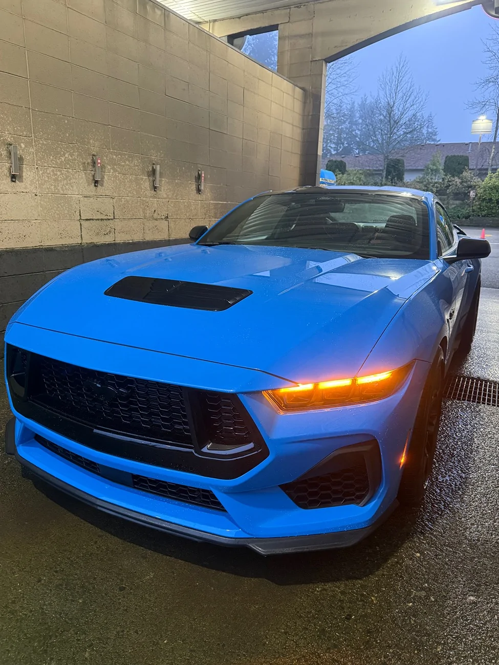 S650 Mustang What did you do to your S650 Mustang today?? 🙋🏻‍♂️ IMG_9197