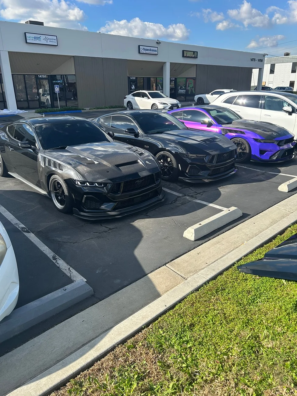 S650 Mustang Carbon Fiber Fenders GTD Style - MAZ Muscle Auto IMG_4541