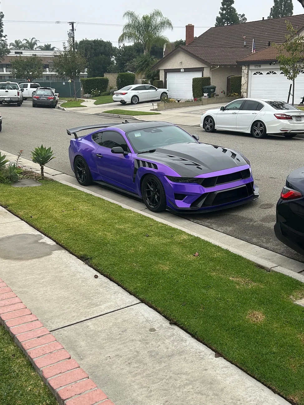 S650 Mustang MAZ Competizione Bumper and High Cowl Terminator Hood IMG_3826