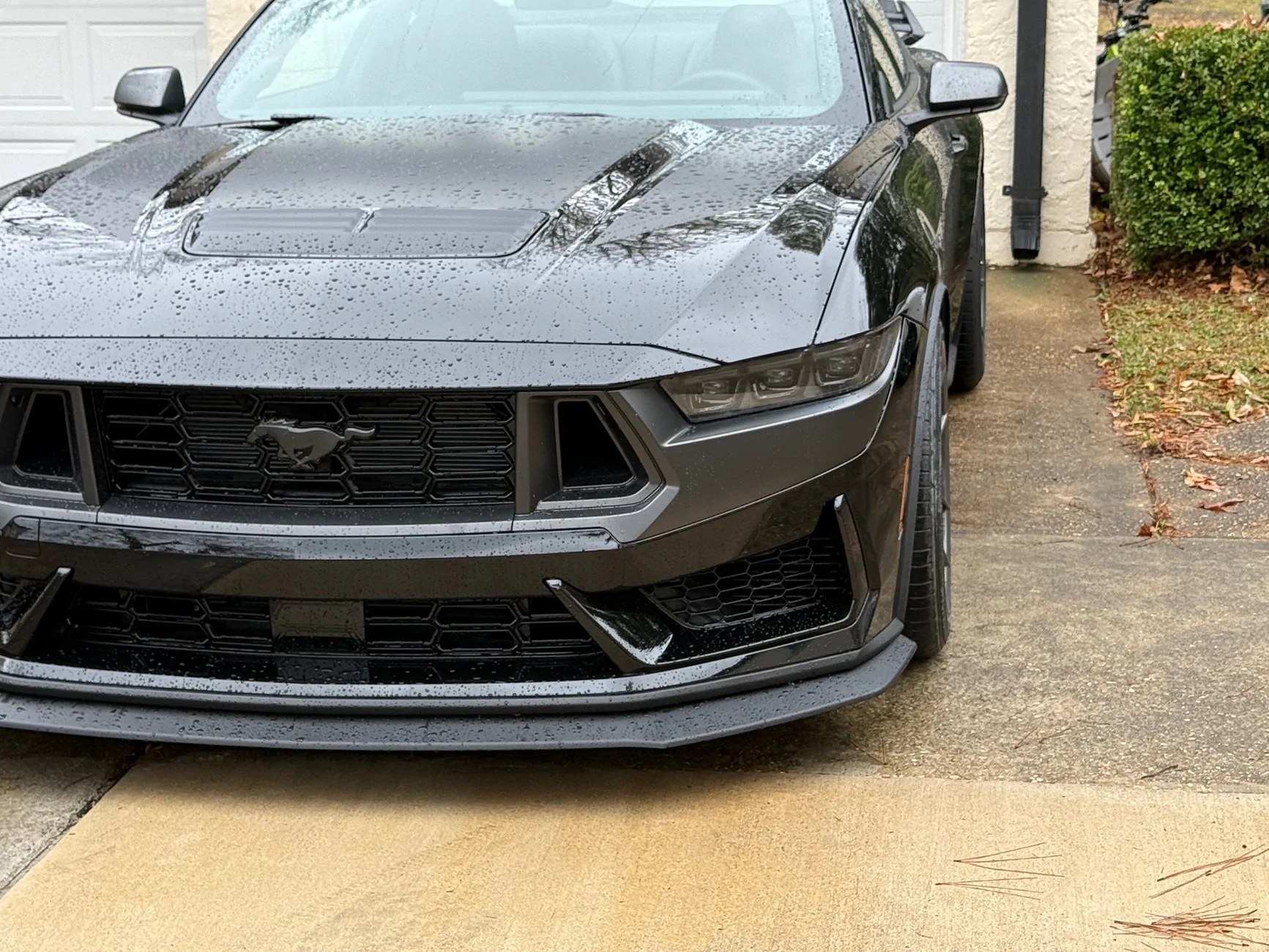 S650 Mustang Dark horse HP winter tire question (275/35/19s-F, 285/35/19s-R) IMG_1211