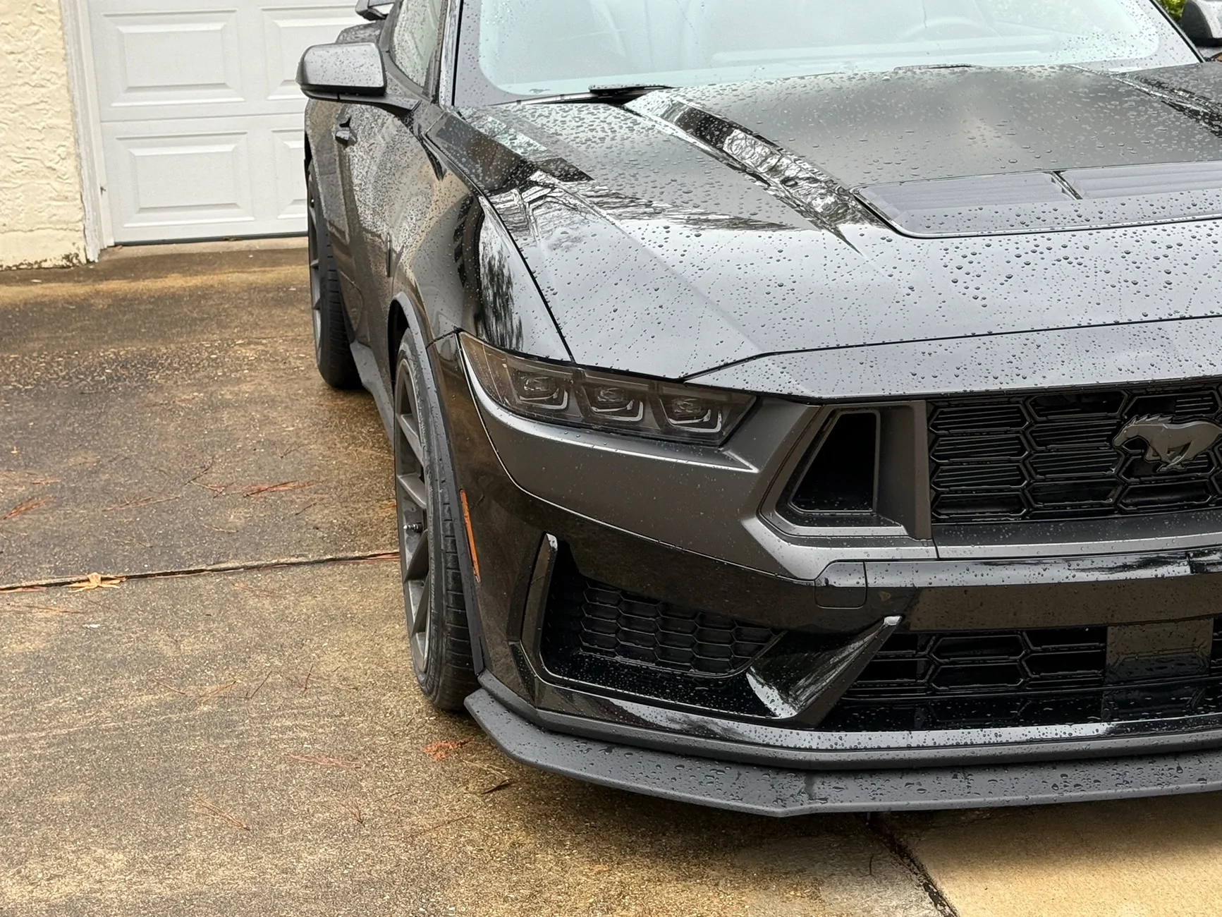 S650 Mustang Dark horse HP winter tire question (275/35/19s-F, 285/35/19s-R) IMG_1212