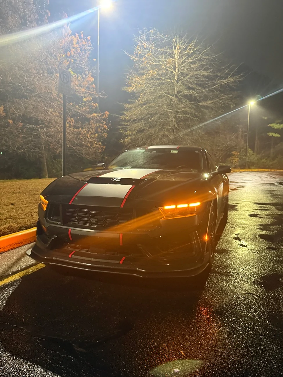 S650 Mustang Super Snake Stripes Installed! IMG_5554