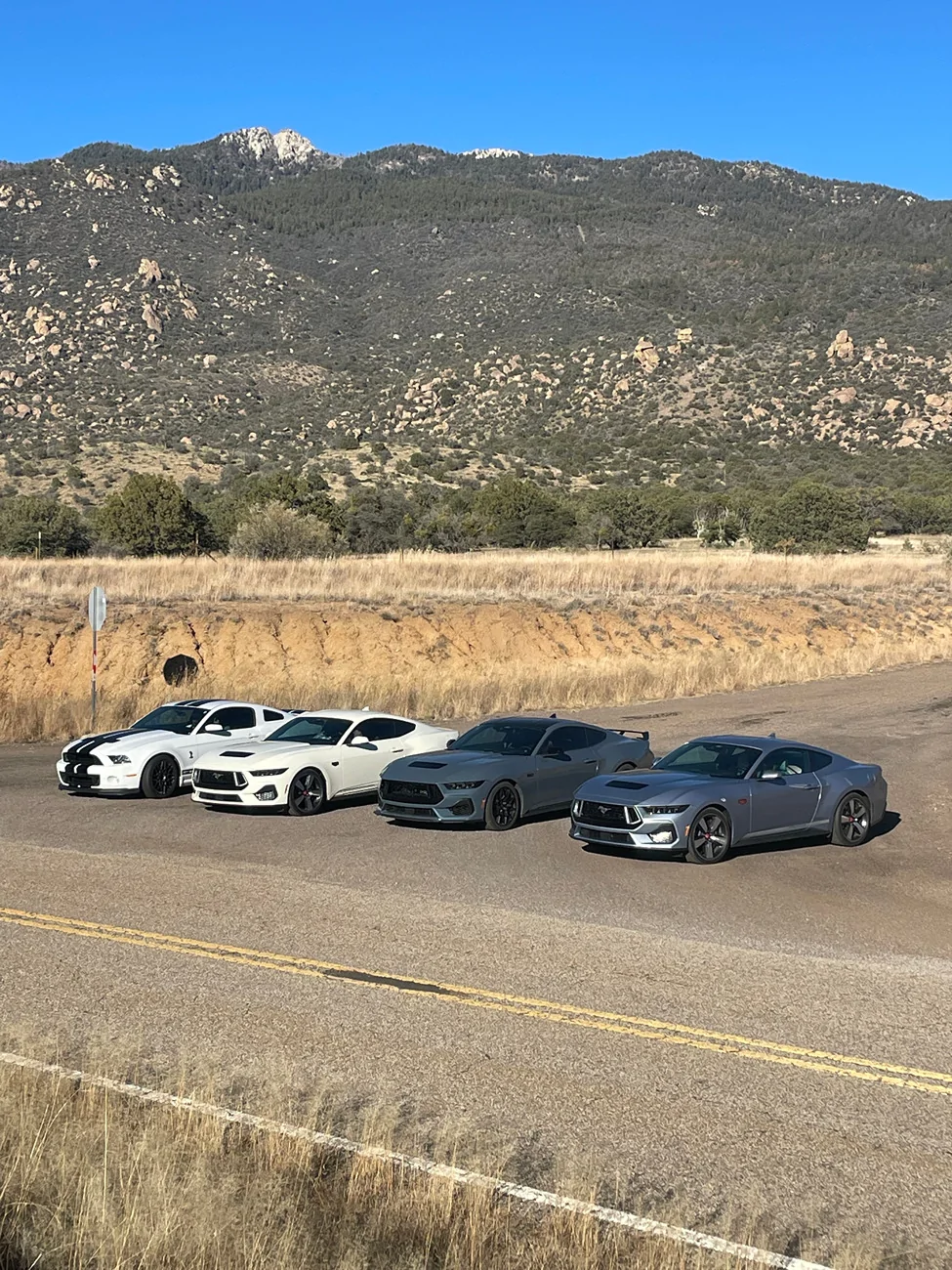 S650 Mustang Share some Winter Driving Pics and experience  (it won't melt) IMG_9842