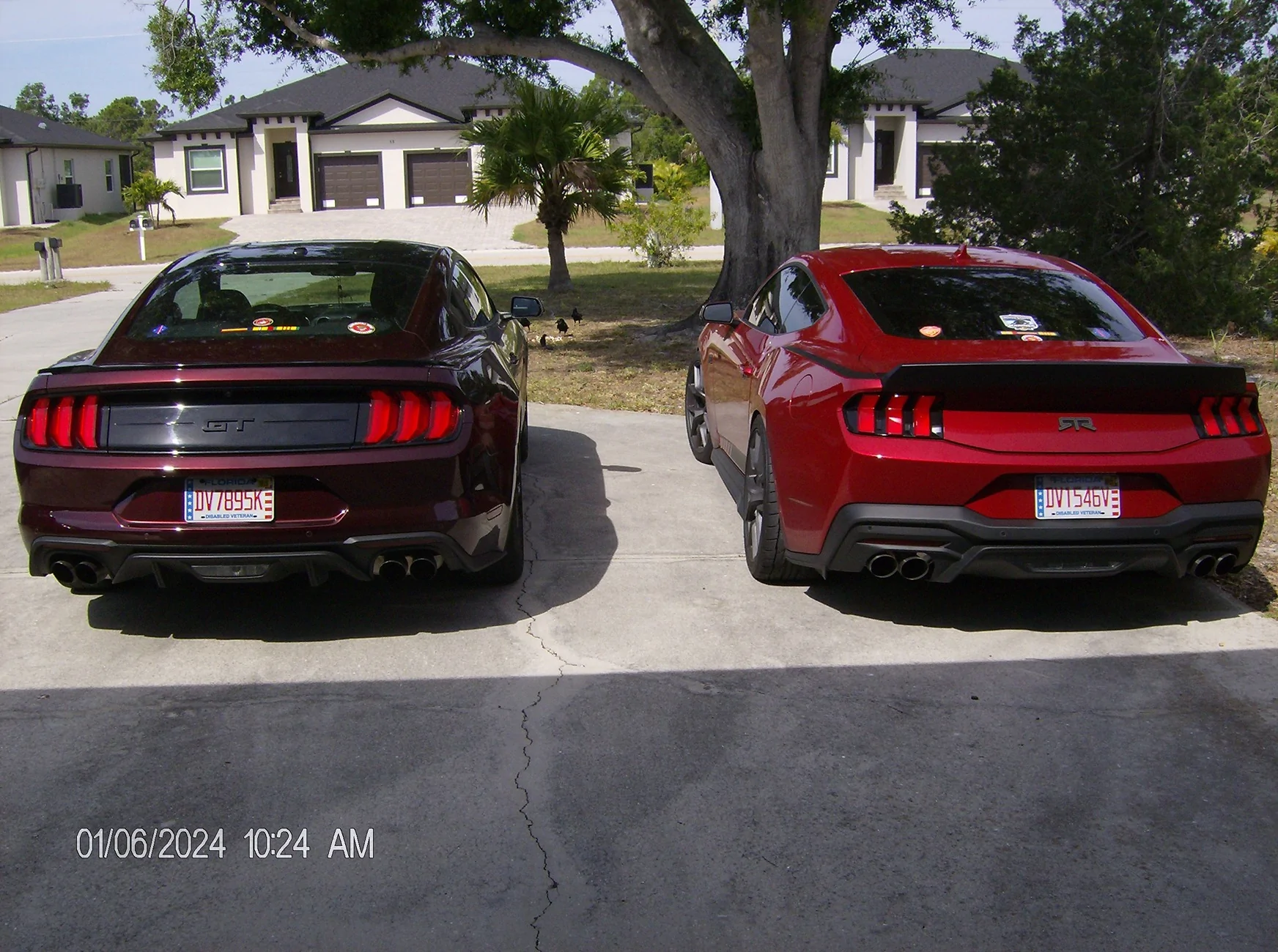 S650 Mustang NEWBIE Checking in--- Looking to get first Mustang next year. HPIM0780
