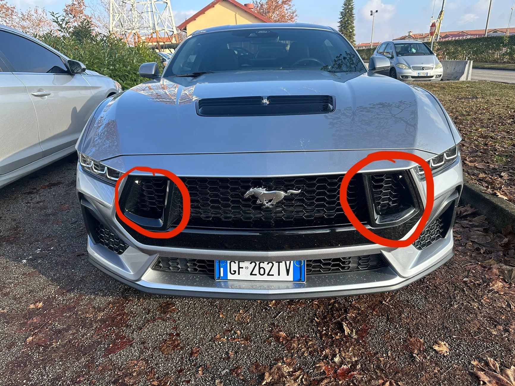 S650 Mustang Front-Top Grille Nostril Removal? IMG_1439