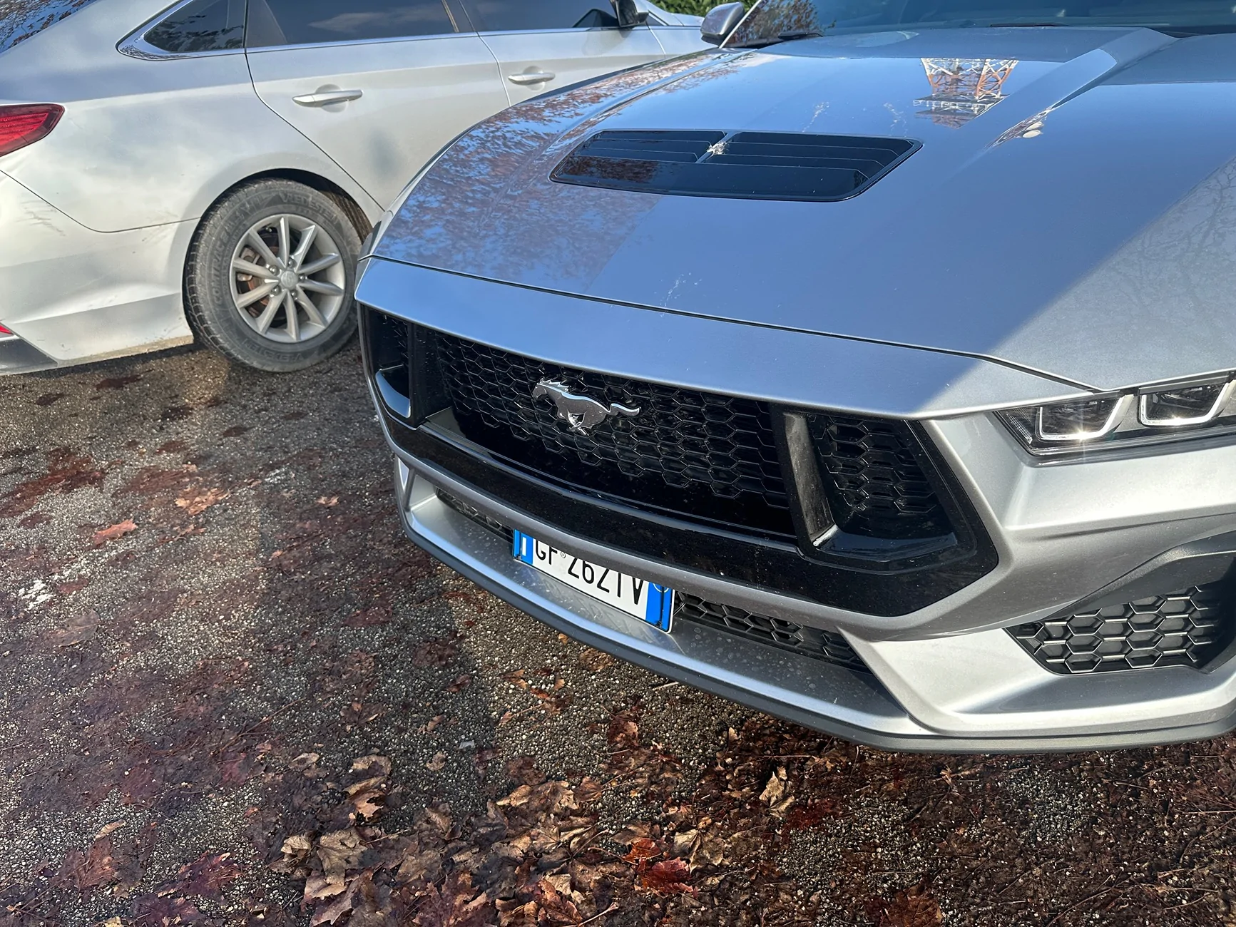 S650 Mustang Front-Top Grille Nostril Removal? IMG_1440