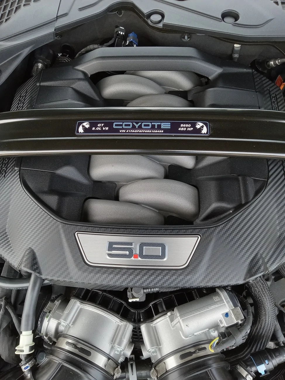 S650 Mustang Help with springs/dampeners 20240604_121742