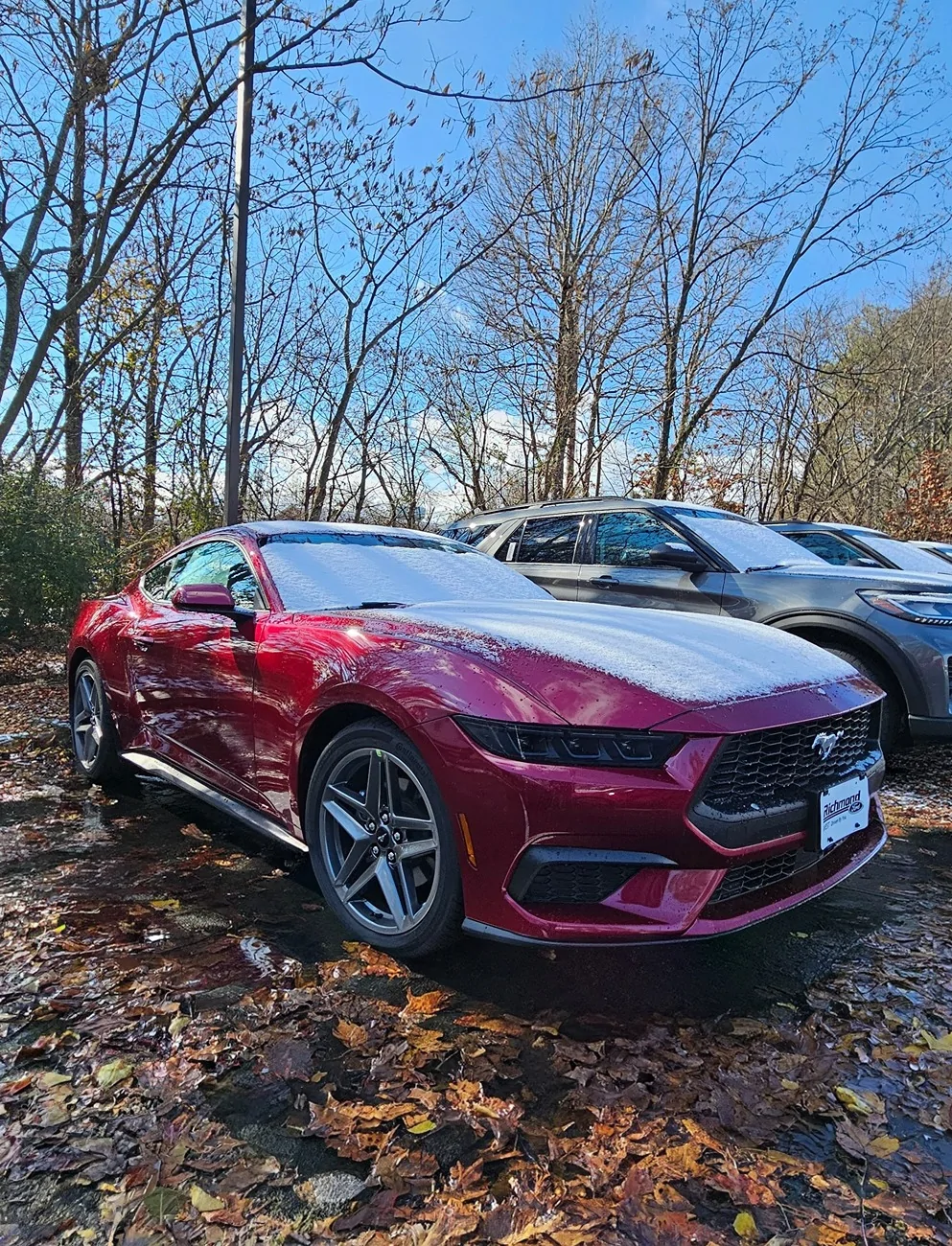 S650 Mustang New Orange Fury, Molten Magenta and Adriatic Blue colors on S650 1000013316