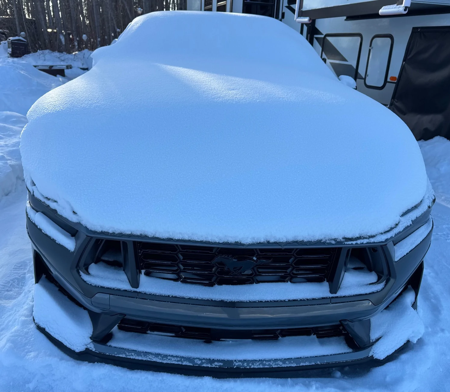 S650 Mustang Cool Daily Random S650 Mustang Pics -- Post Yours! 📸 IMG_9171