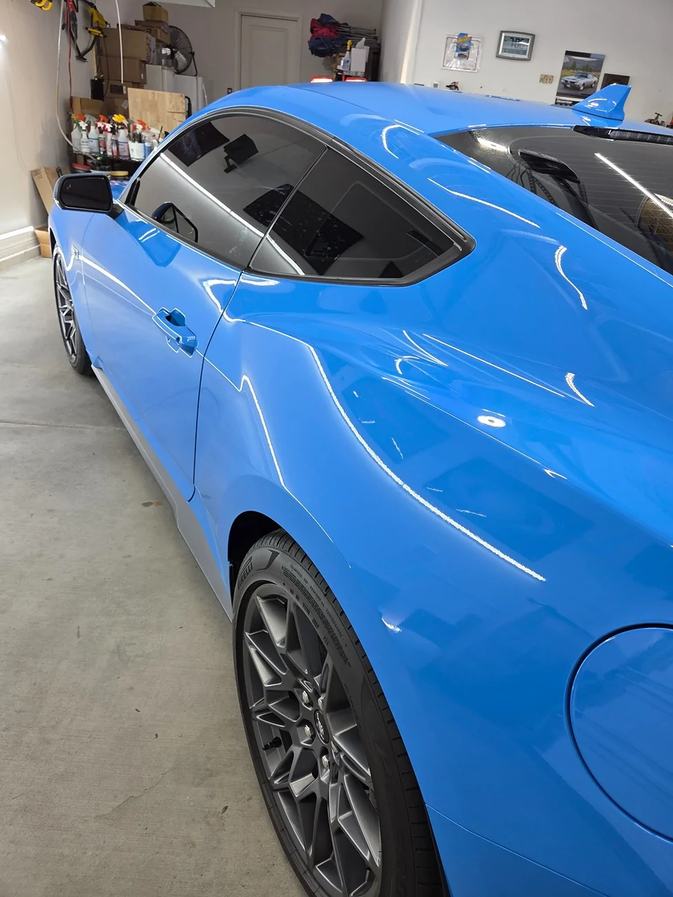 S650 Mustang Ceramic Coating Opinions 16651