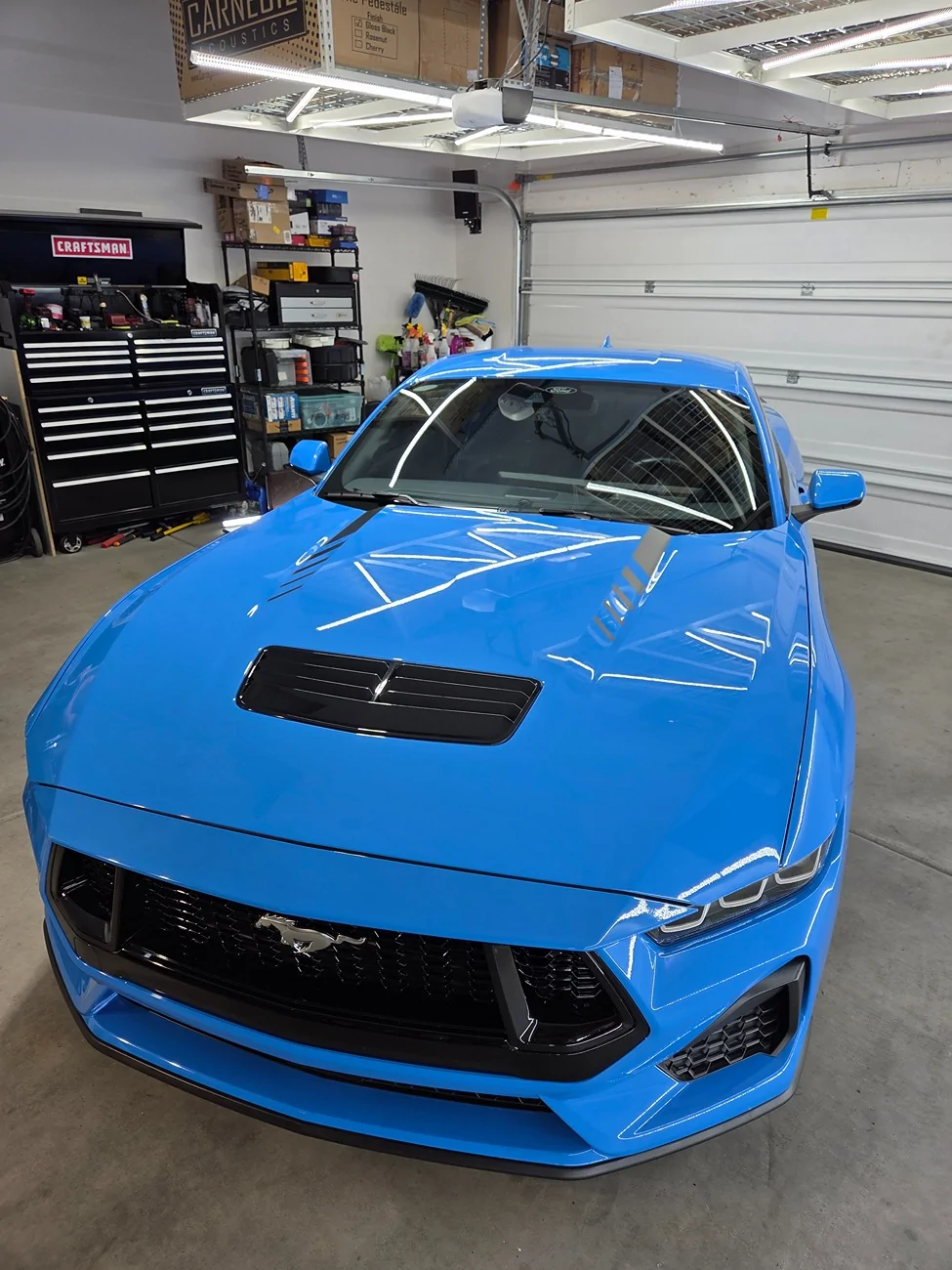 S650 Mustang Ceramic Coating Opinions 16659