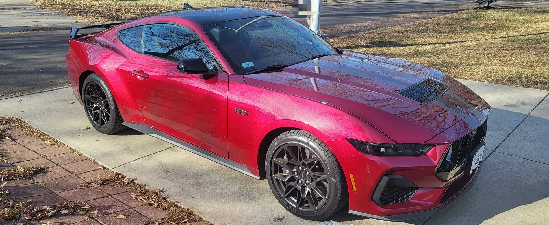 S650 Mustang Official MOLTEN MAGENTA Mustang S650 Thread 20251221_131053