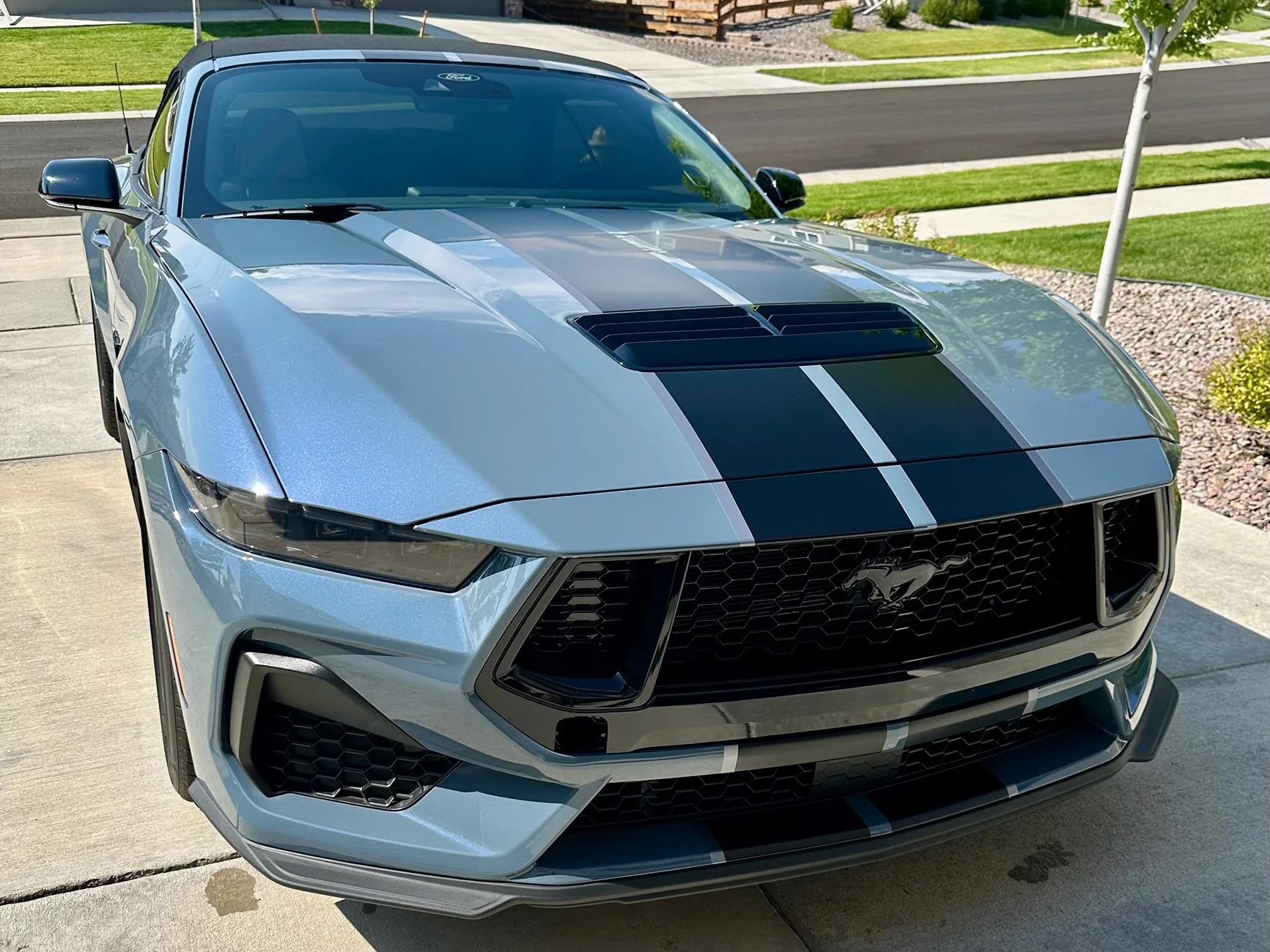 S650 Mustang Vapor Blue with White Strips? IMG_1051