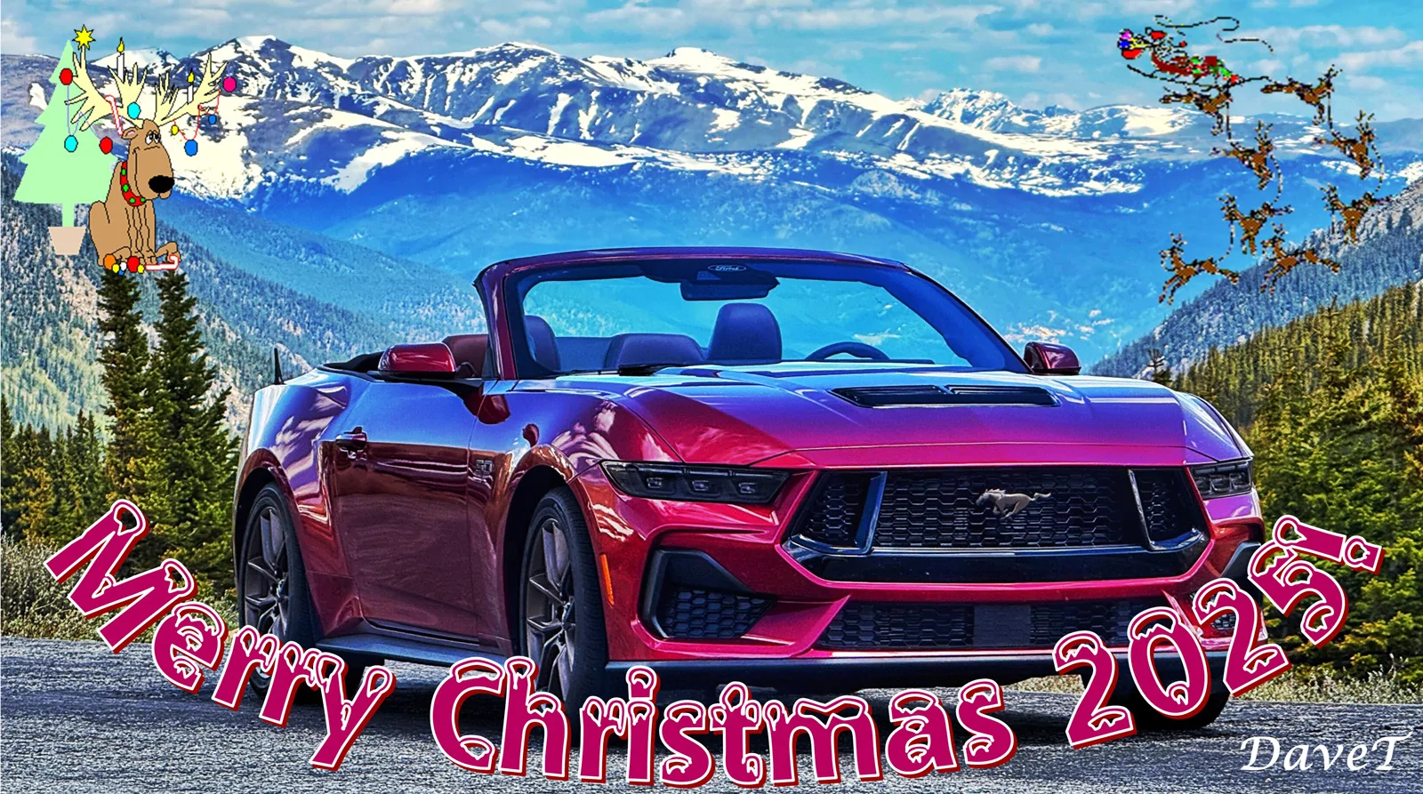 S650 Mustang Merry Christmas! IMG_7605