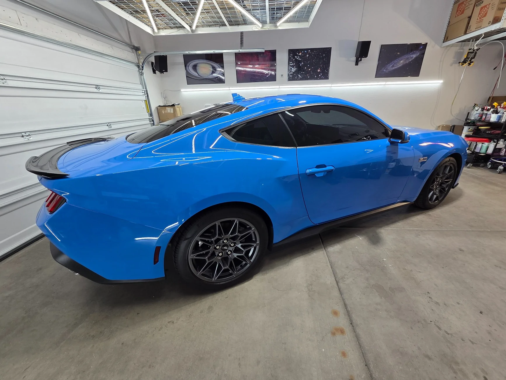 S650 Mustang Official GRABBER BLUE Mustang S650 Thread 16656