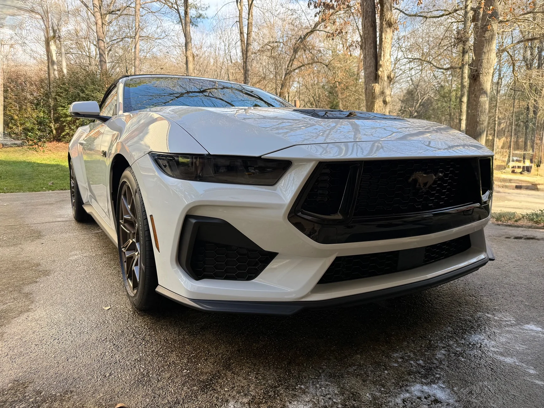 S650 Mustang What did you do to your S650 Mustang today?? 🙋🏻‍♂️ IMG_3064