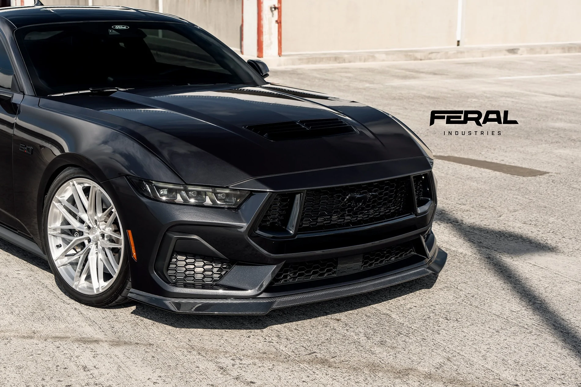 S650 Mustang Feral Industries - S650 Mustang Carbon Exterior Aero Program 53678777175_21e0306a24_k