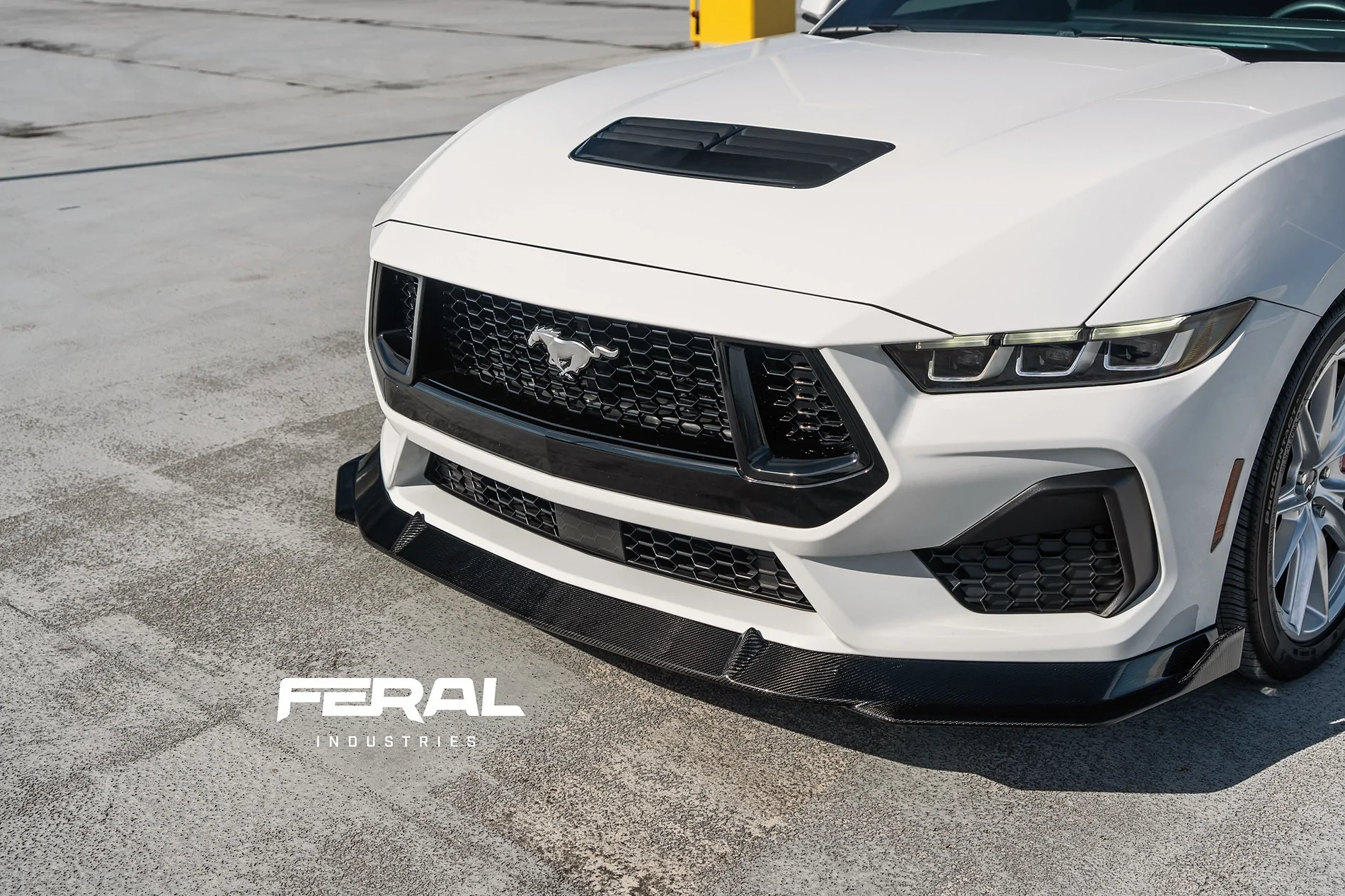 S650 Mustang Feral Industries - S650 Mustang Carbon Exterior Aero Program 54018813208_4a445310bf_k