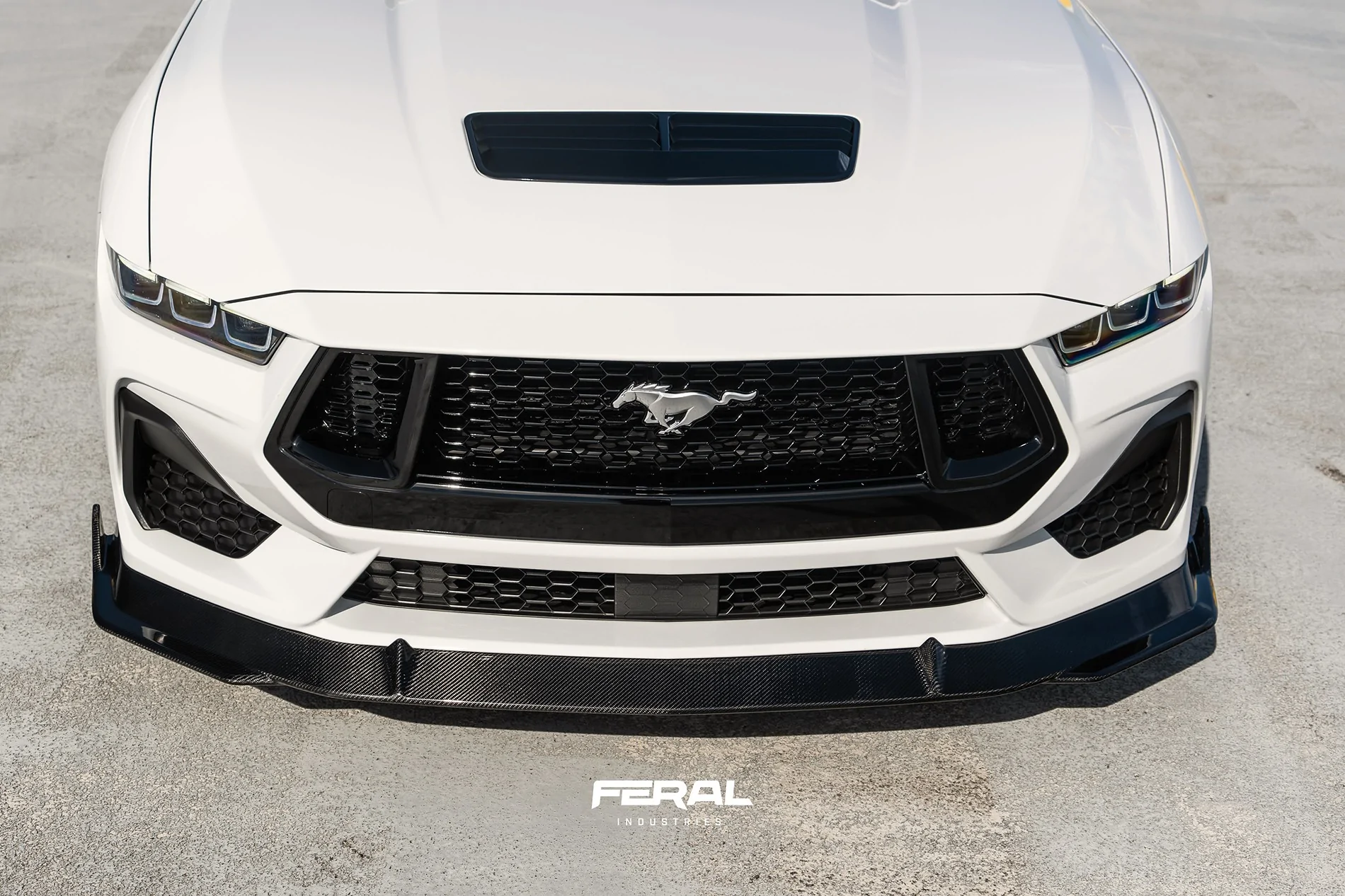 S650 Mustang Feral Industries - S650 Mustang Carbon Exterior Aero Program 54018589276_54b7d82b2d_k