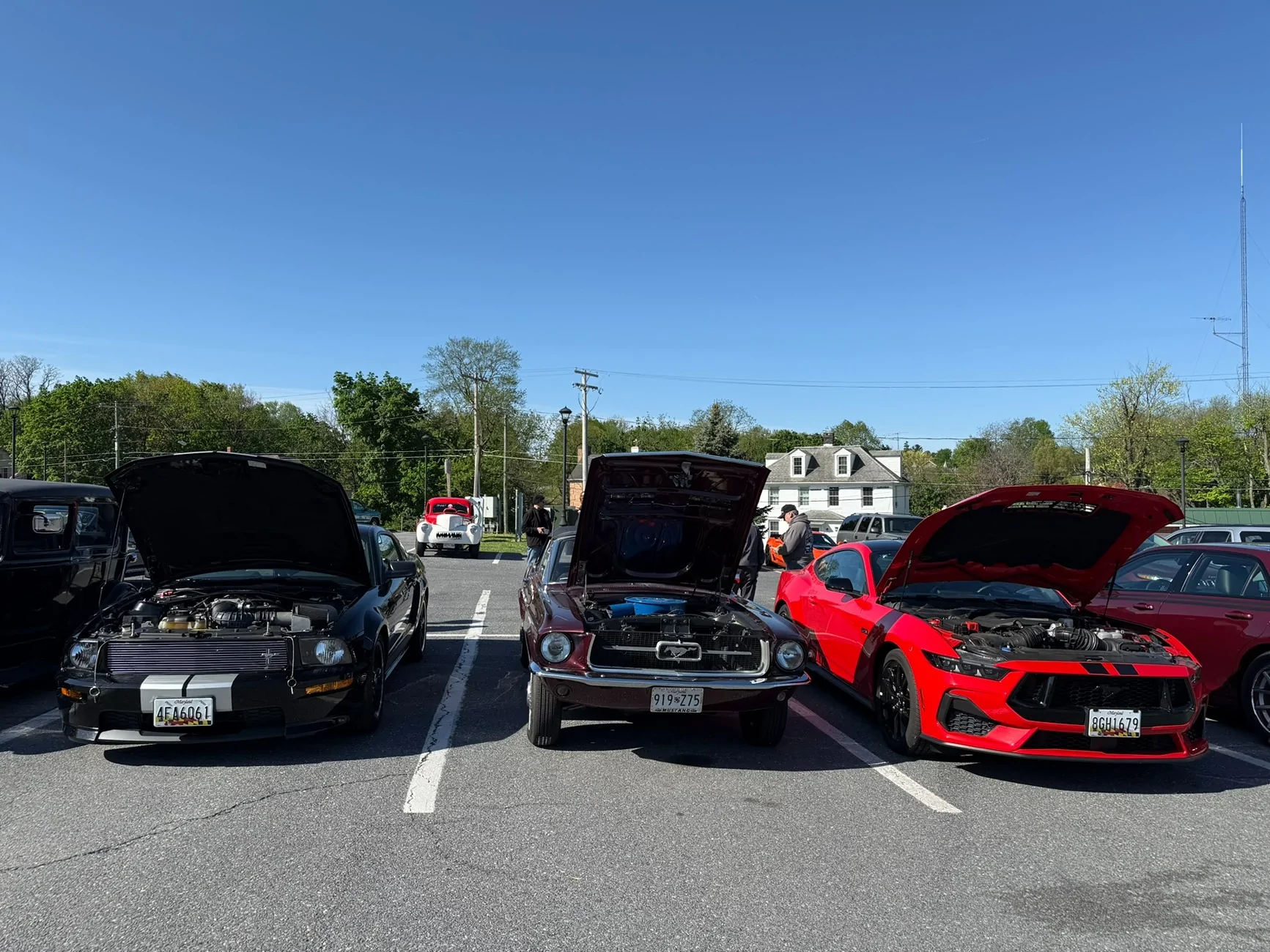 S650 Mustang Multiple Mustangs in your family ? IMG_7982