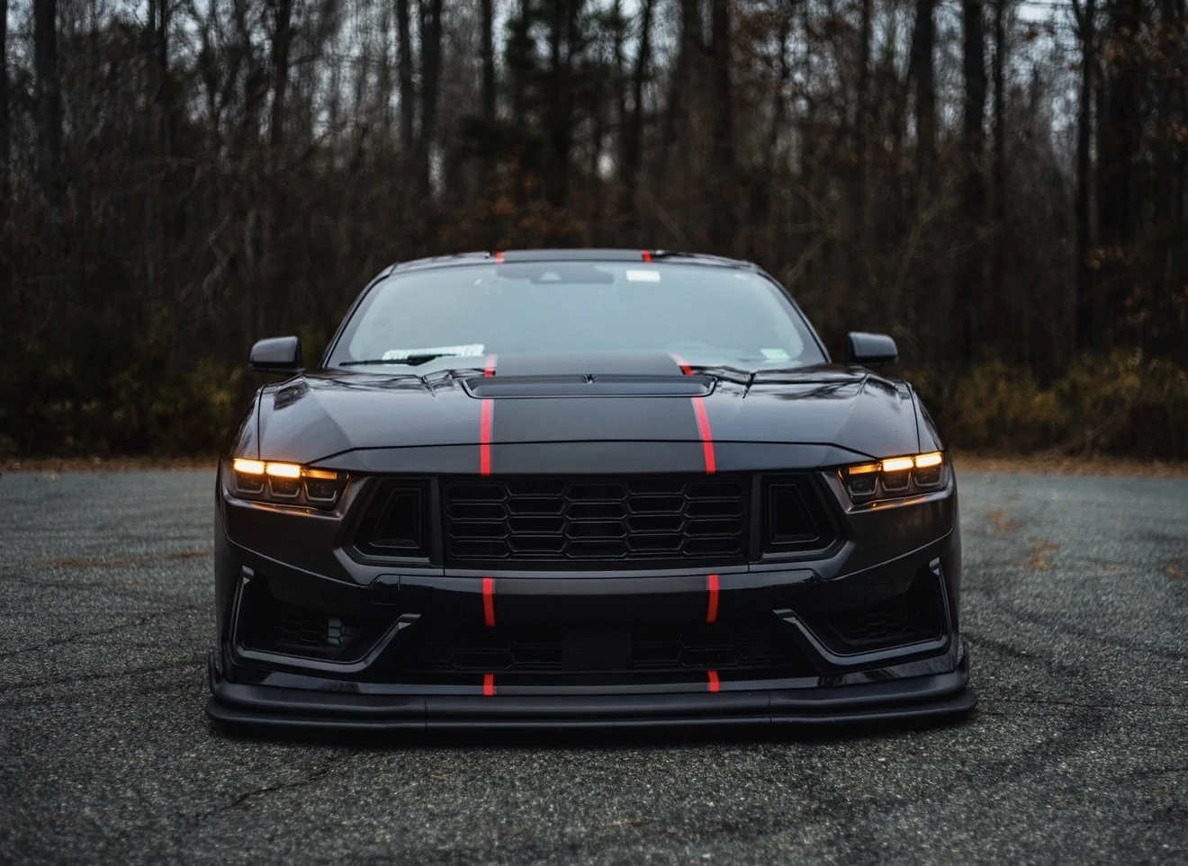 S650 Mustang Super Snake Stripes Installed! IMG_5866
