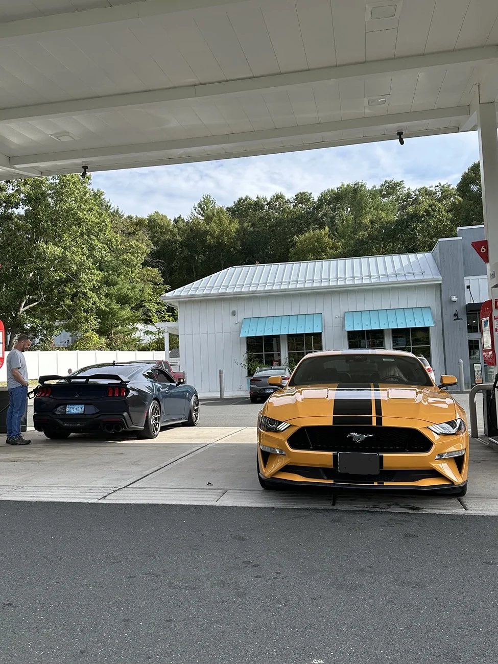 S650 Mustang Multiple Mustangs in your family ? 1000022441