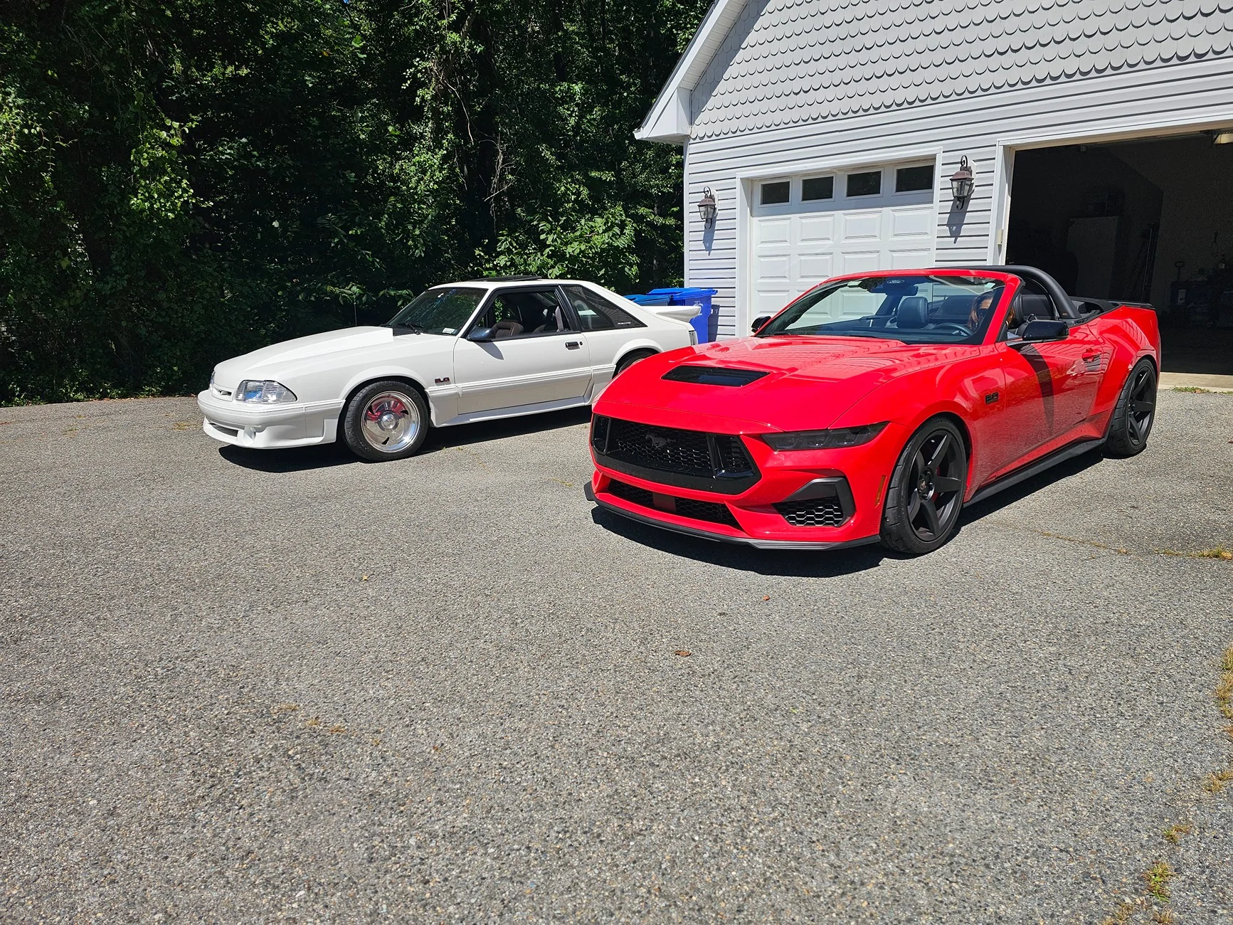 S650 Mustang Multiple Mustangs in your family ? 20250823_123448