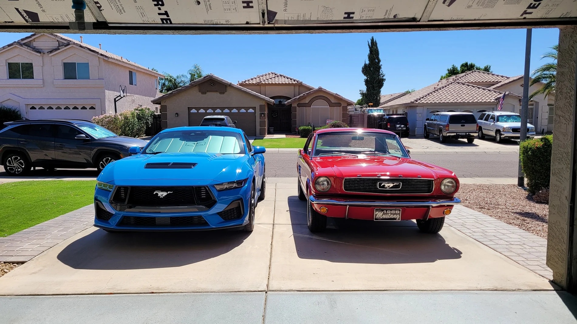 S650 Mustang Multiple Mustangs in your family ? 20251004_130347