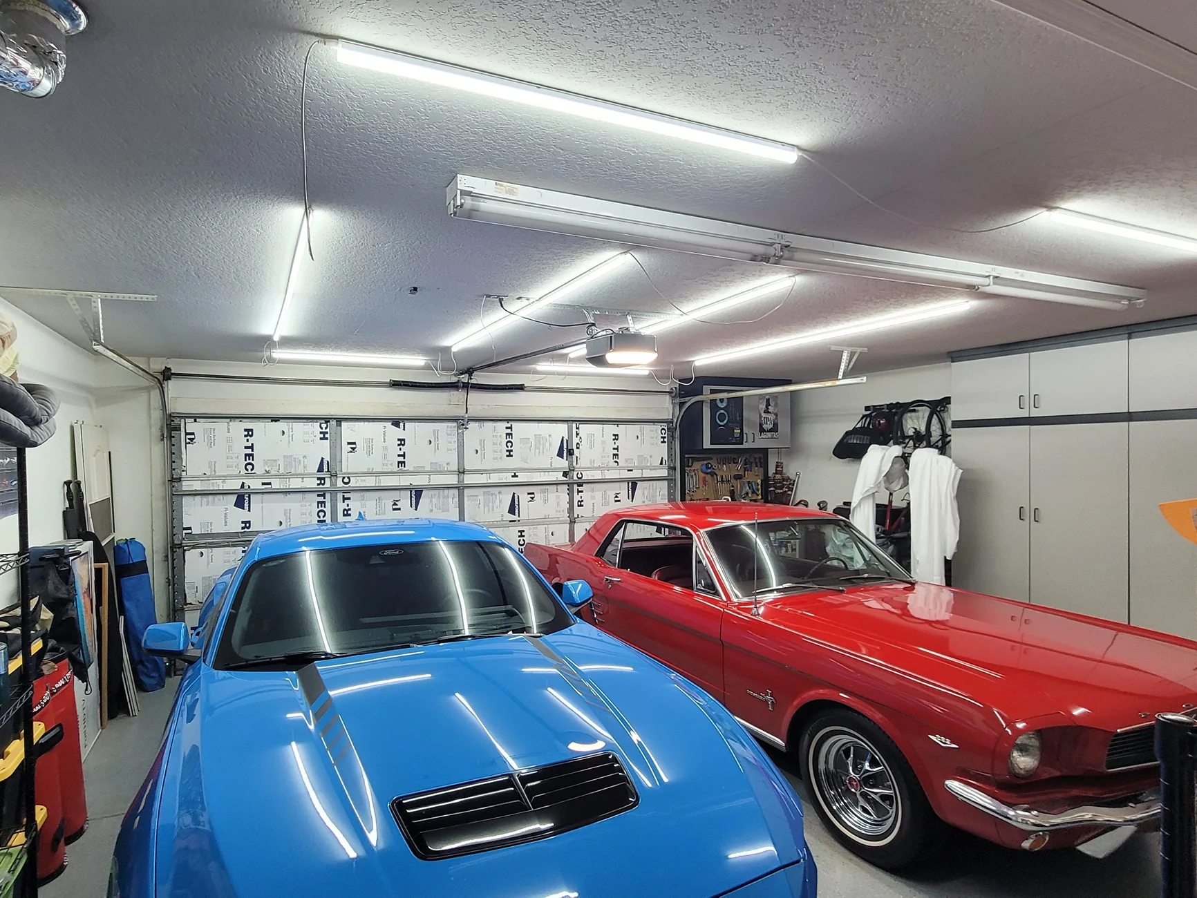 S650 Mustang Multiple Mustangs in your family ? 16177