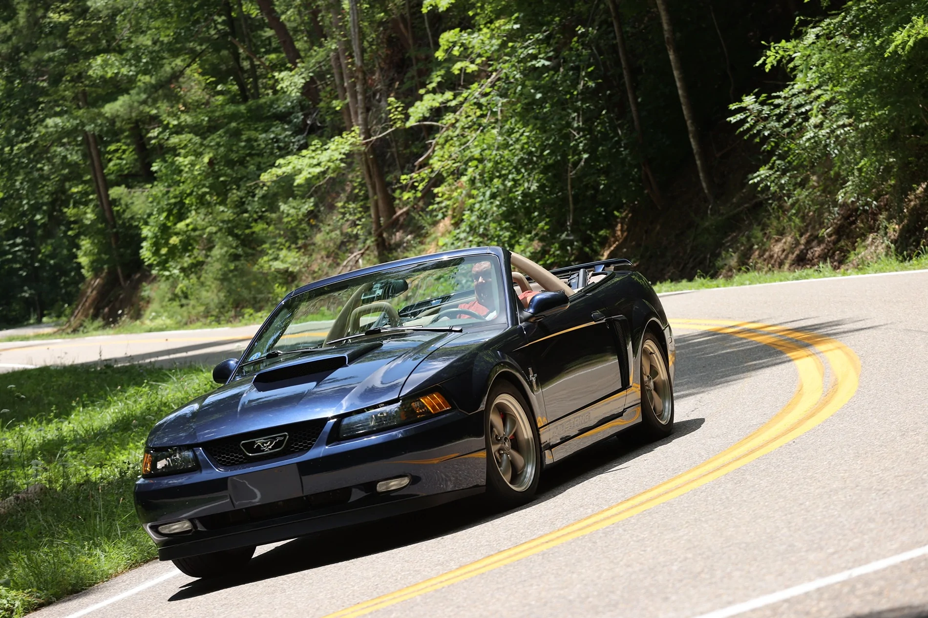 S650 Mustang Multiple Mustangs in your family ? '16398821-129Slayer