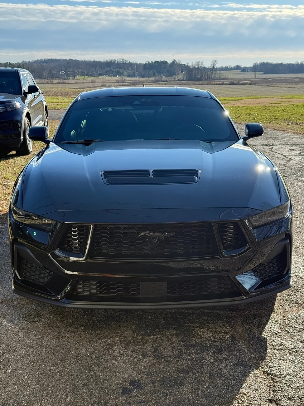 S650 Mustang Introductions & Welcome Thread 👋 IMG_1040