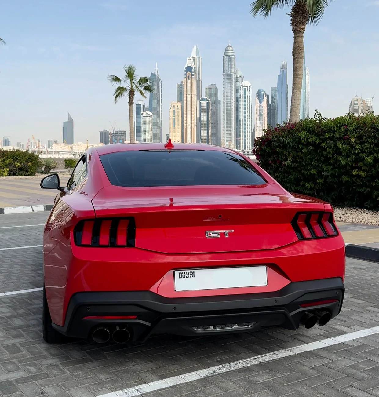S650 Mustang DH Spoiler Installation at Home - GT 5.0 1000219973