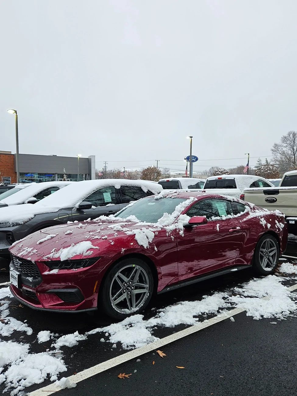 S650 Mustang New Orange Fury, Molten Magenta and Adriatic Blue colors on S650 1000012965