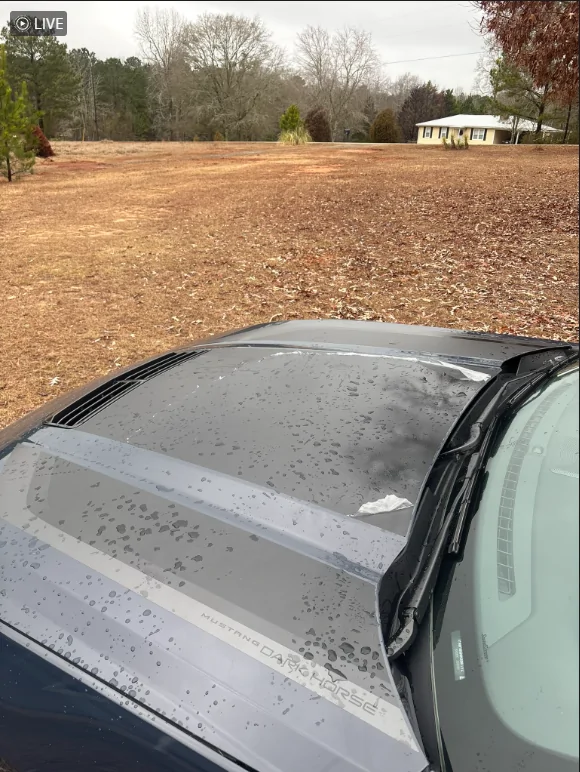 S650 Mustang Remove PPF from hood vinyl - any tips? 1767464066662-tc