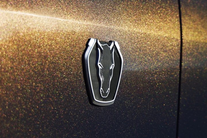 S650 Mustang Ford to reveal all-new road-going race car on January 15... GT500 successor?! -Exterior-032-fender-Dark-Horse-logo-badge-720x480