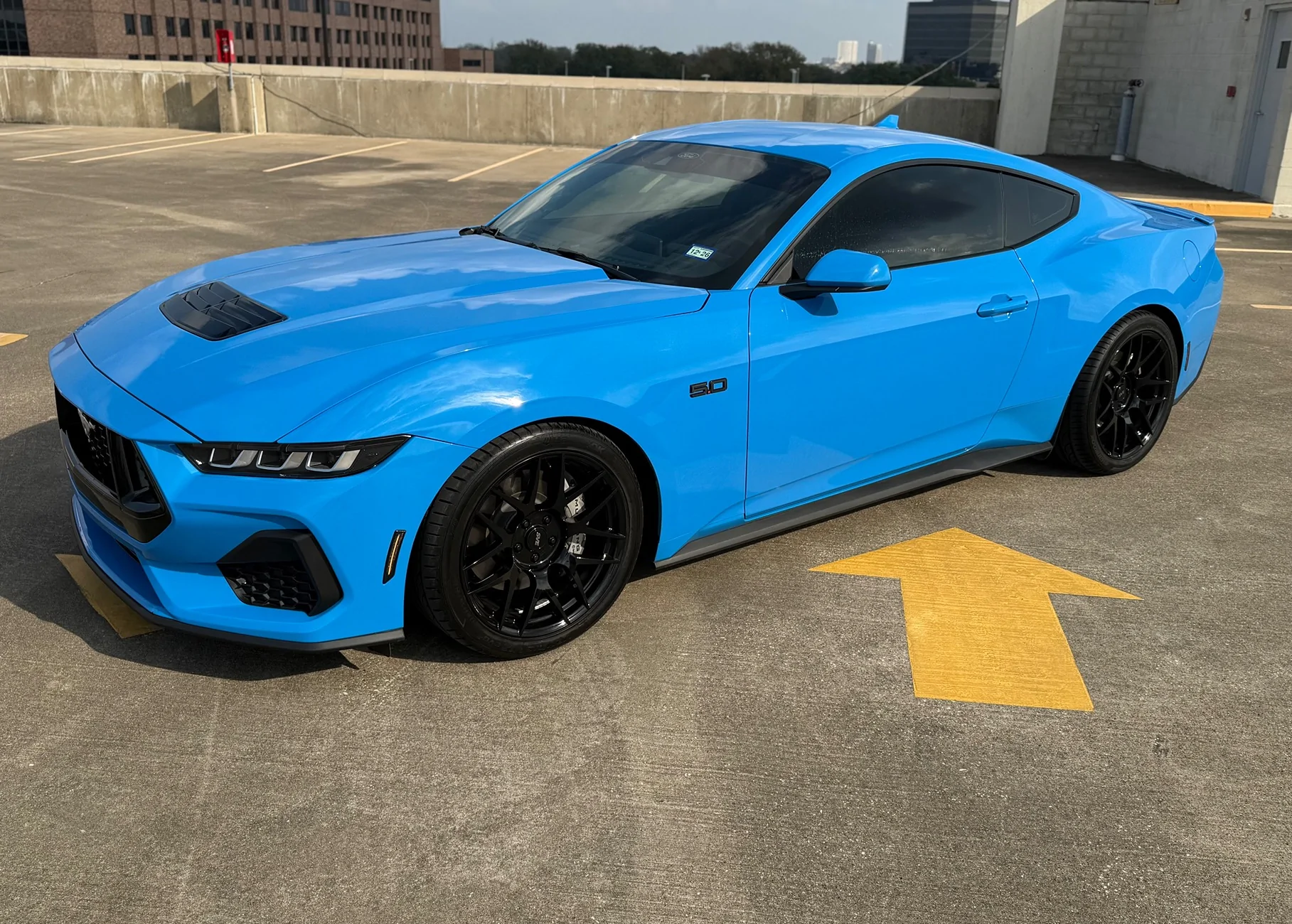S650 Mustang Official GRABBER BLUE Mustang S650 Thread IMG_0833