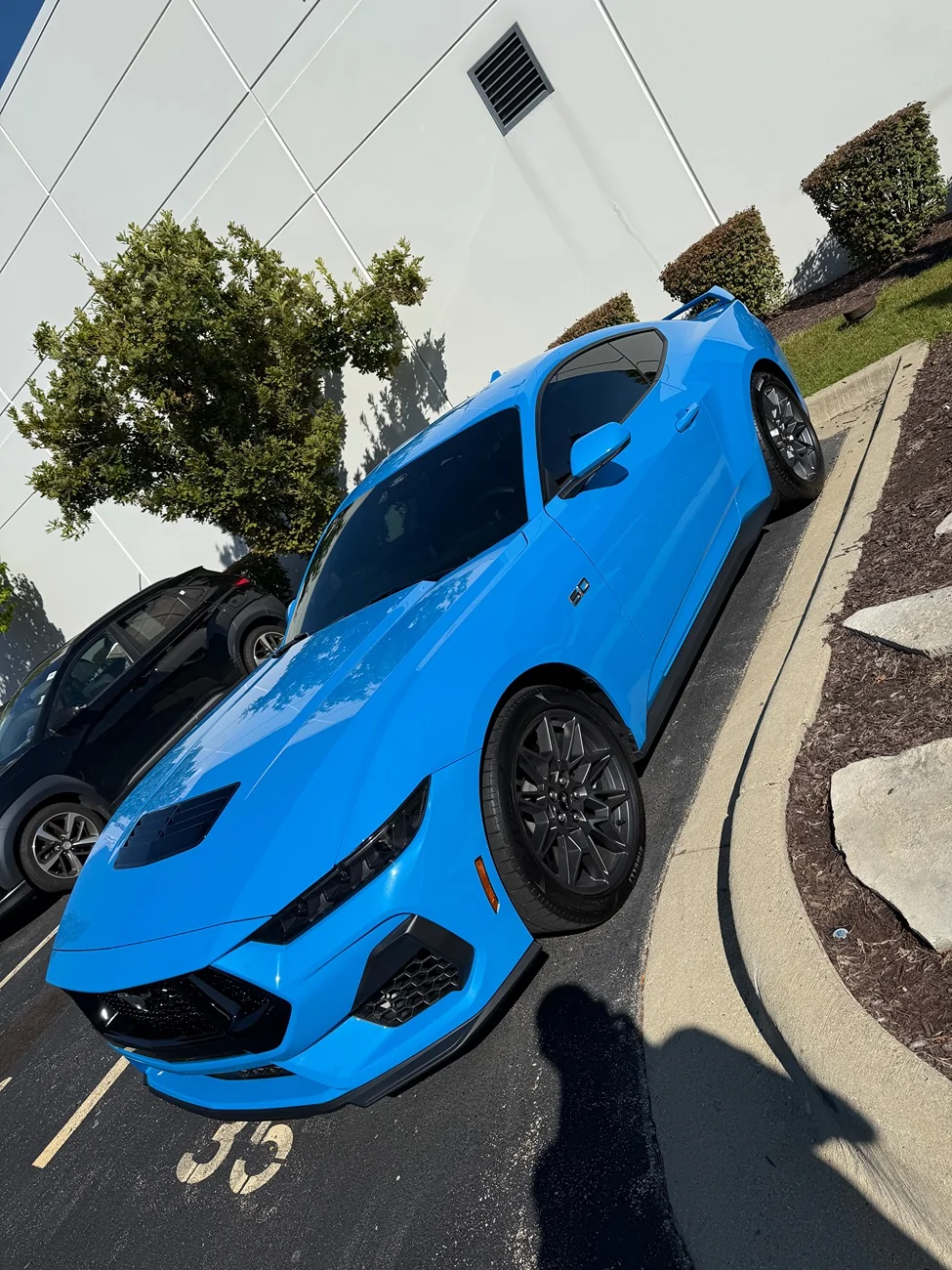 S650 Mustang Official GRABBER BLUE Mustang S650 Thread IMG_6304