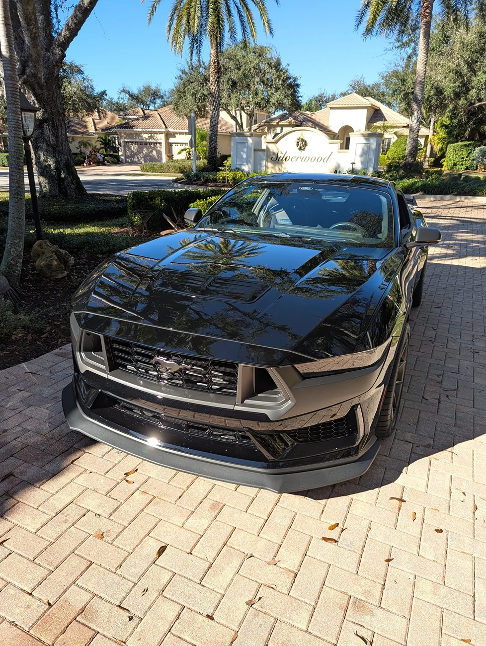 S650 Mustang 2024 Dark Horse w Handling Package PXL_20251229_151607835