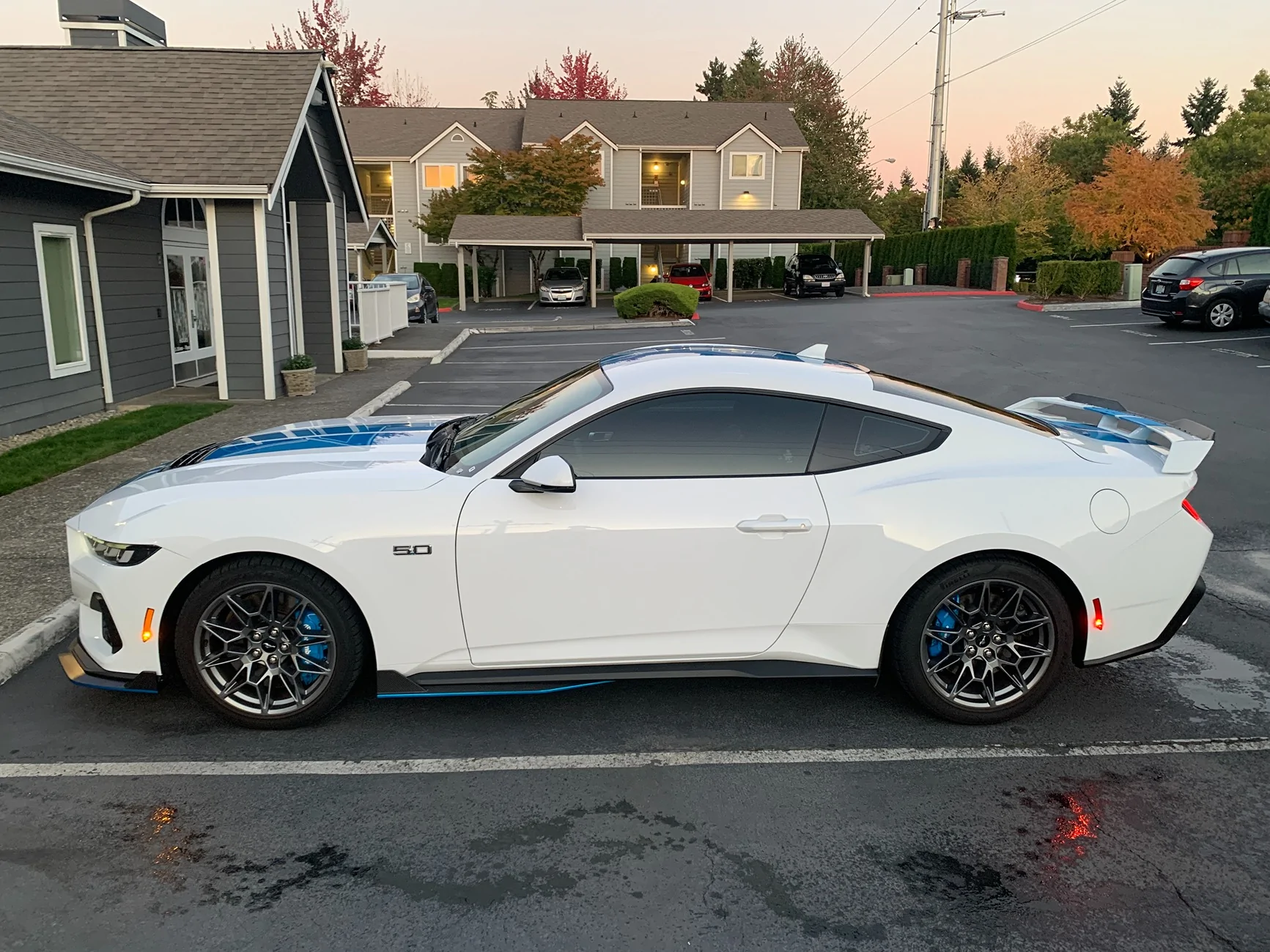 S650 Mustang Official OXFORD WHITE Mustang S650 Thread IMG_0224