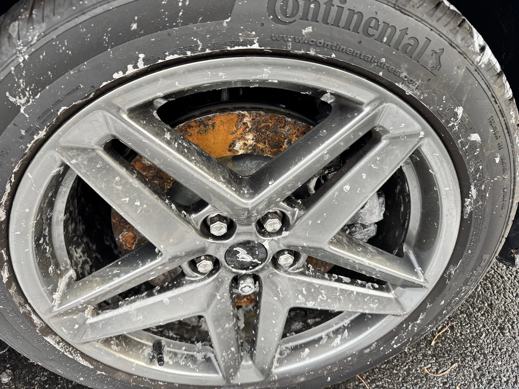 S650 Mustang Gross rotors (rust)! IMG_1153