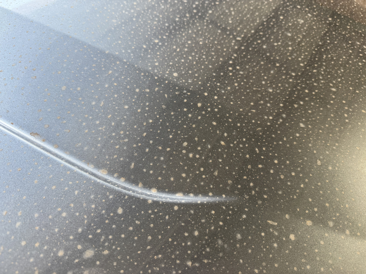 S650 Mustang DFB's Detailing Garage IMG-9341