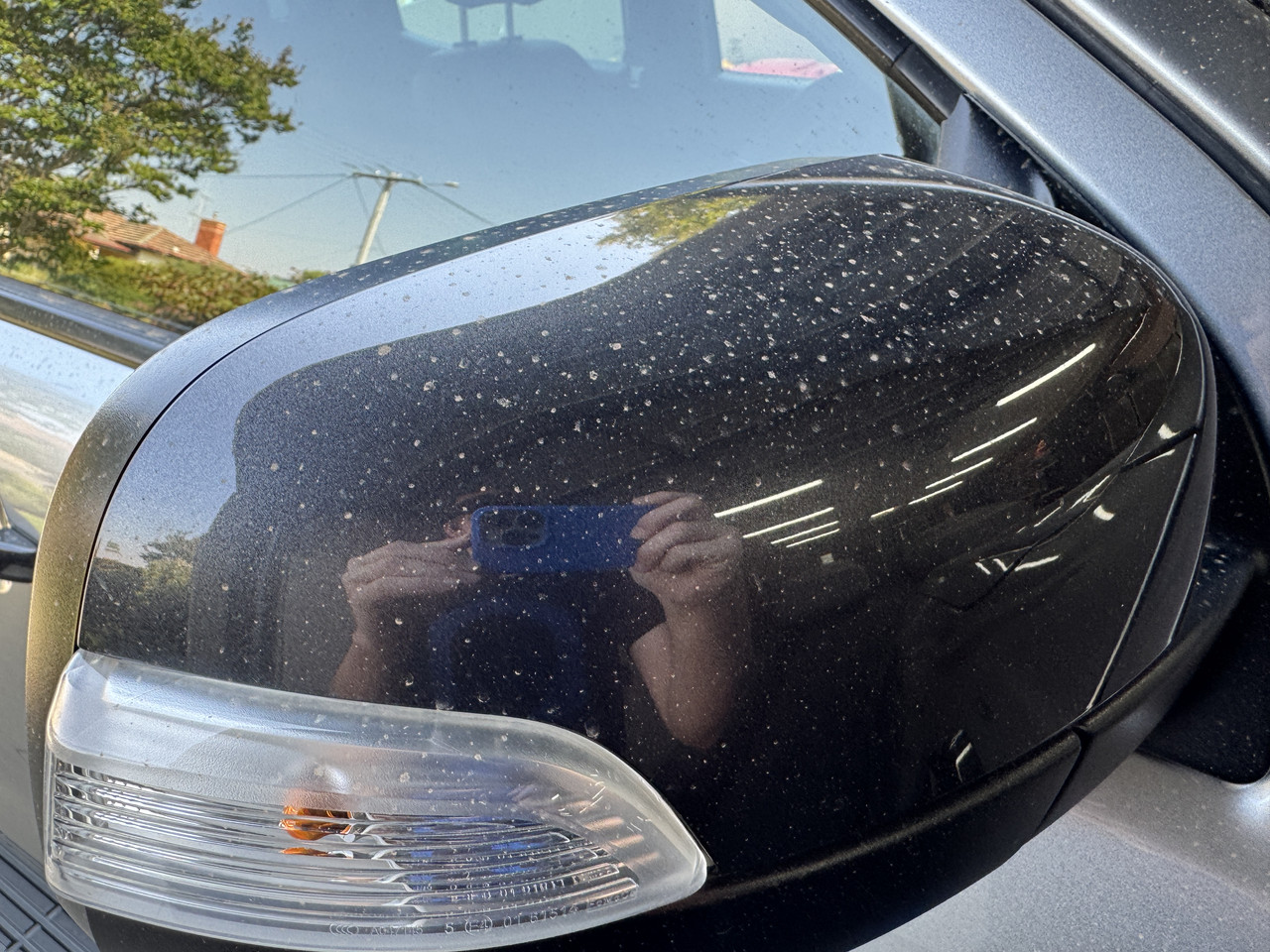 S650 Mustang DFB's Detailing Garage IMG-9343