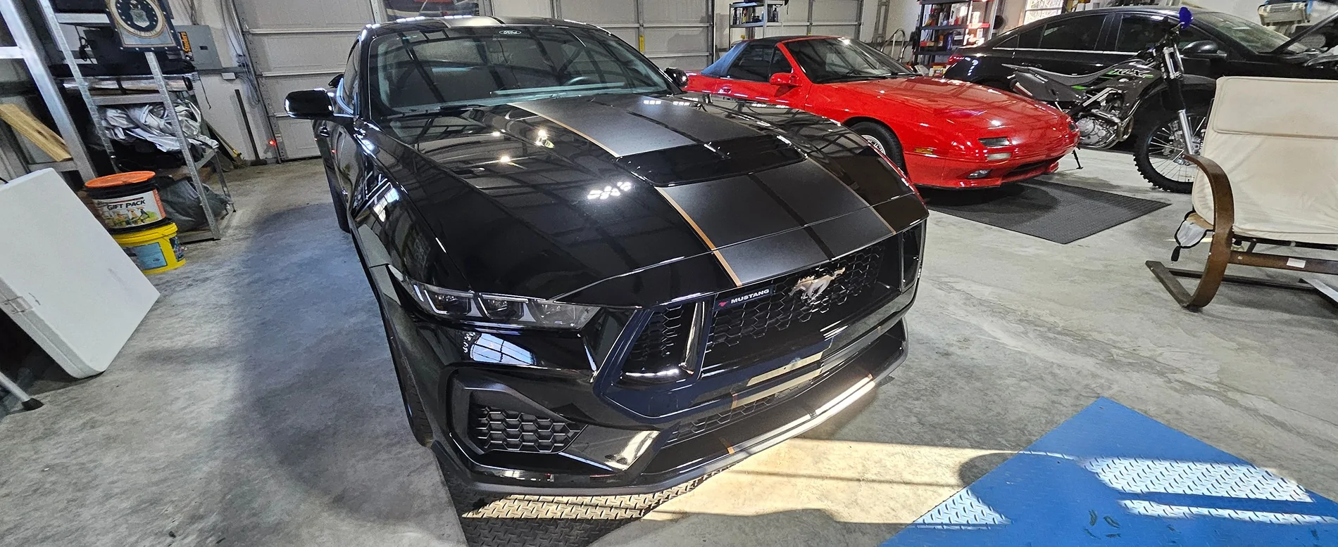 S650 Mustang What did you do to your S650 Mustang today?? 🙋🏻‍♂️ 1000015507