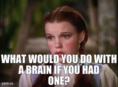 IMG_9618.gif
