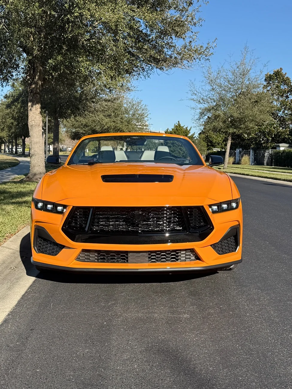 S650 Mustang New 2026 Mustang GT Convertible (Orange Fury) owner {filename}