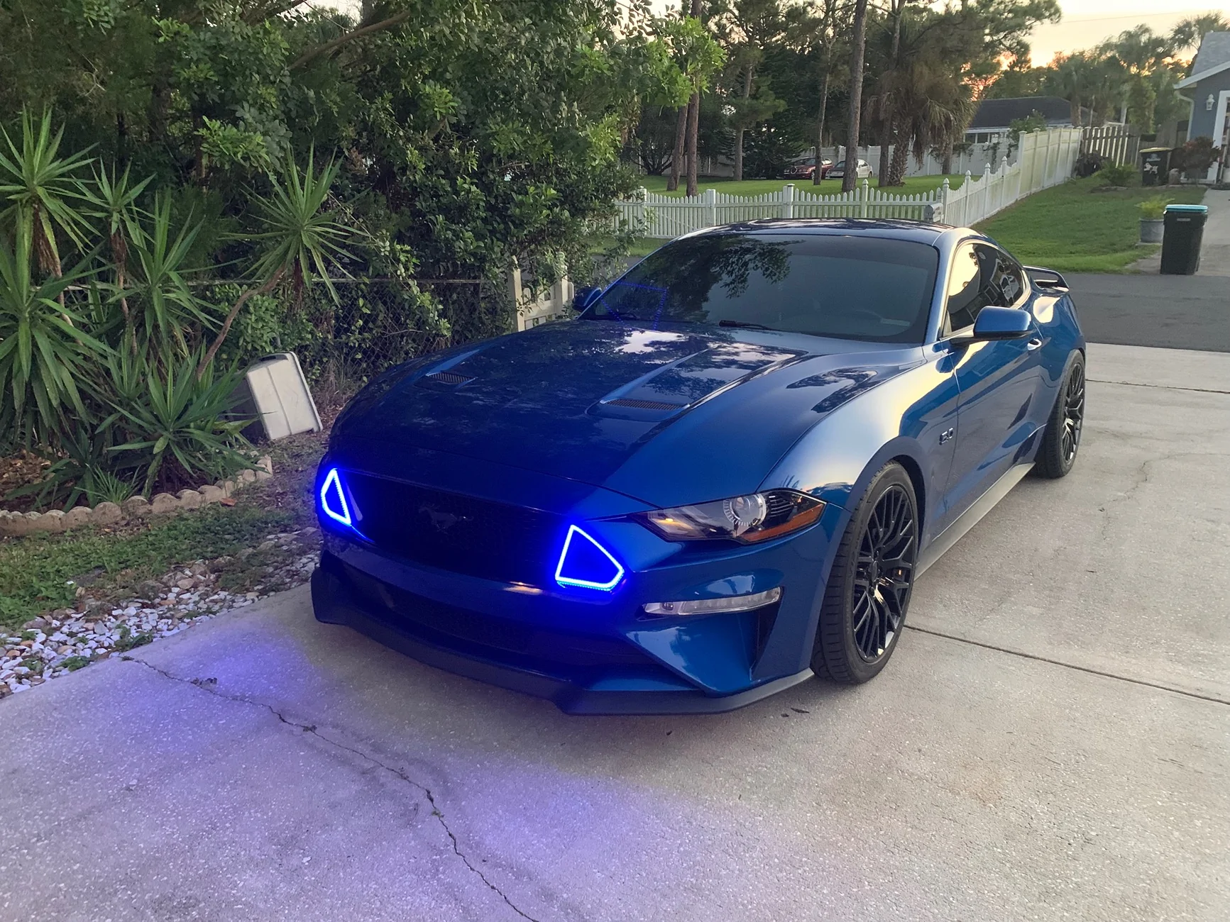 S650 Mustang RTR Grille w/ LED intake lights IMG_6631