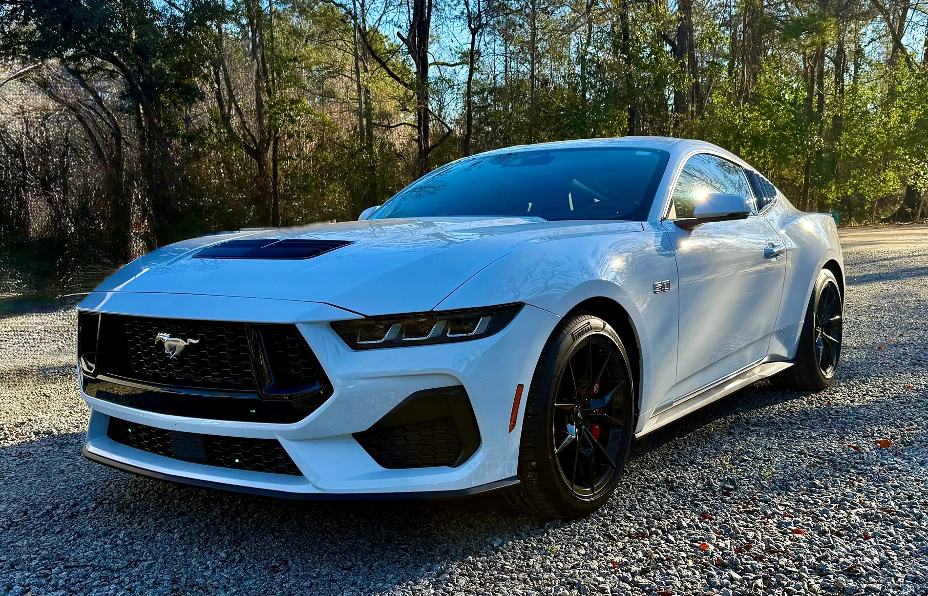 S650 Mustang Introductions & Welcome Thread 👋 IMG_0880