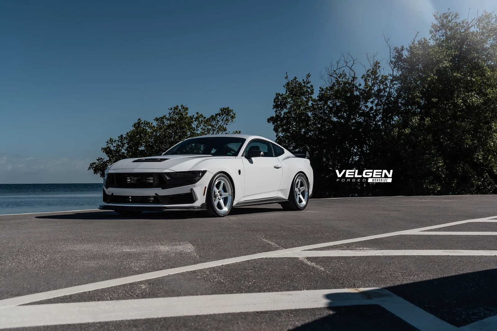 Velgen Forged Mustang Darkhorse -11.webp