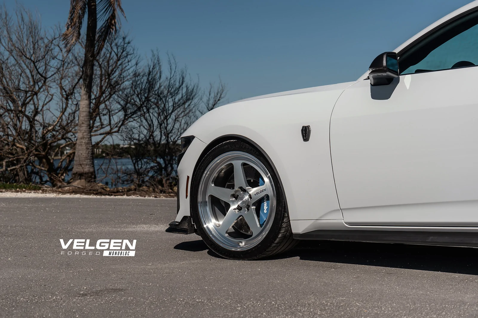 Velgen Forged Mustang Darkhorse -1.webp