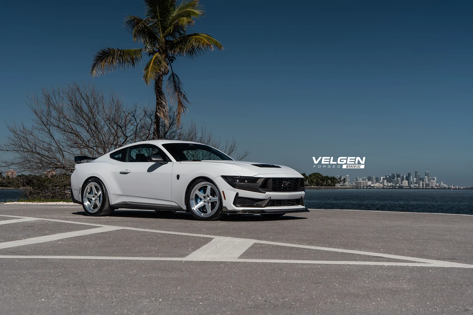 Velgen Forged Mustang Darkhorse -2.webp